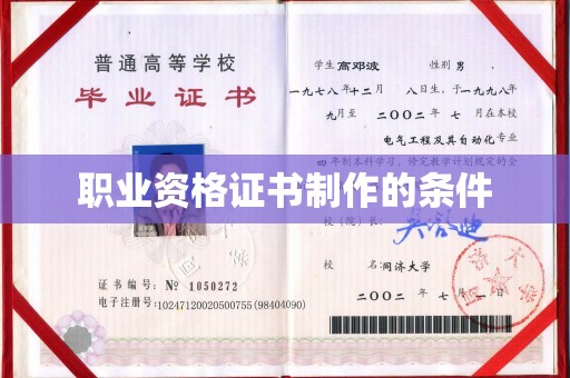 金山屯职业资格证书制作的条件