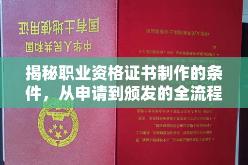 金山屯揭秘职业资格证书制作的条件，从申请到颁发的全流程解析