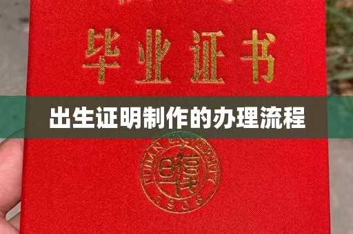 金山屯出生证明制作的办理流程