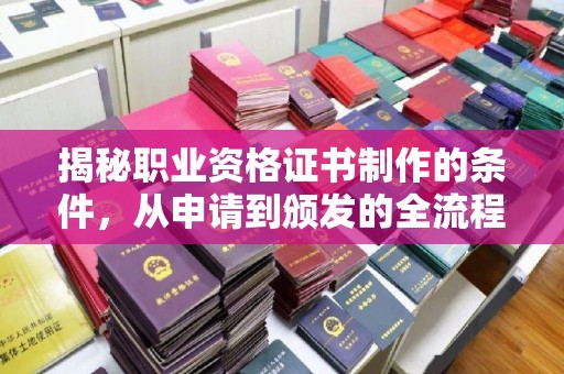 金山屯揭秘职业资格证书制作的条件，从申请到颁发的全流程解析